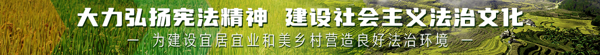 大力弘揚憲法精神